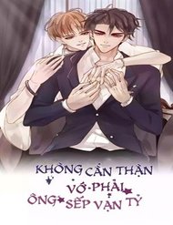 Không Cẩn Thận Vớ Phải Ông Sếp Vạn Tỷ đọc online